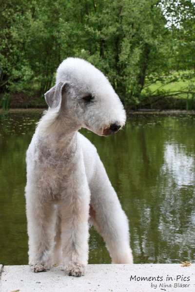 2010-05-01 Svet und Aveline (8).JPG